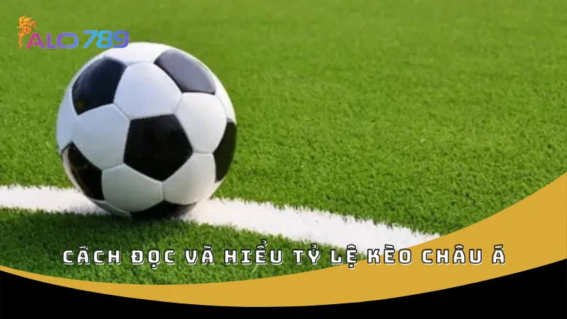 Cách đọc và hiểu tỷ lệ kèo châu Á