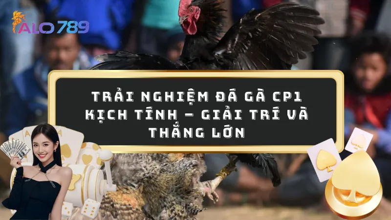 Đá gà CP1