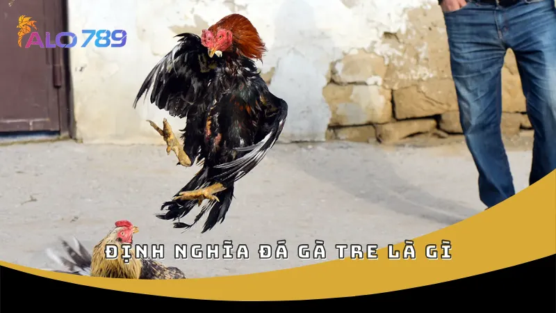 Định nghĩa đá gà tre là gì